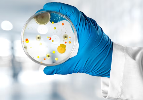 Objectives Illustration